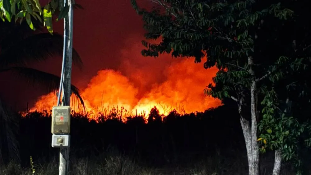 Foto: Divulgação 